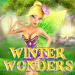 Winter Wonders